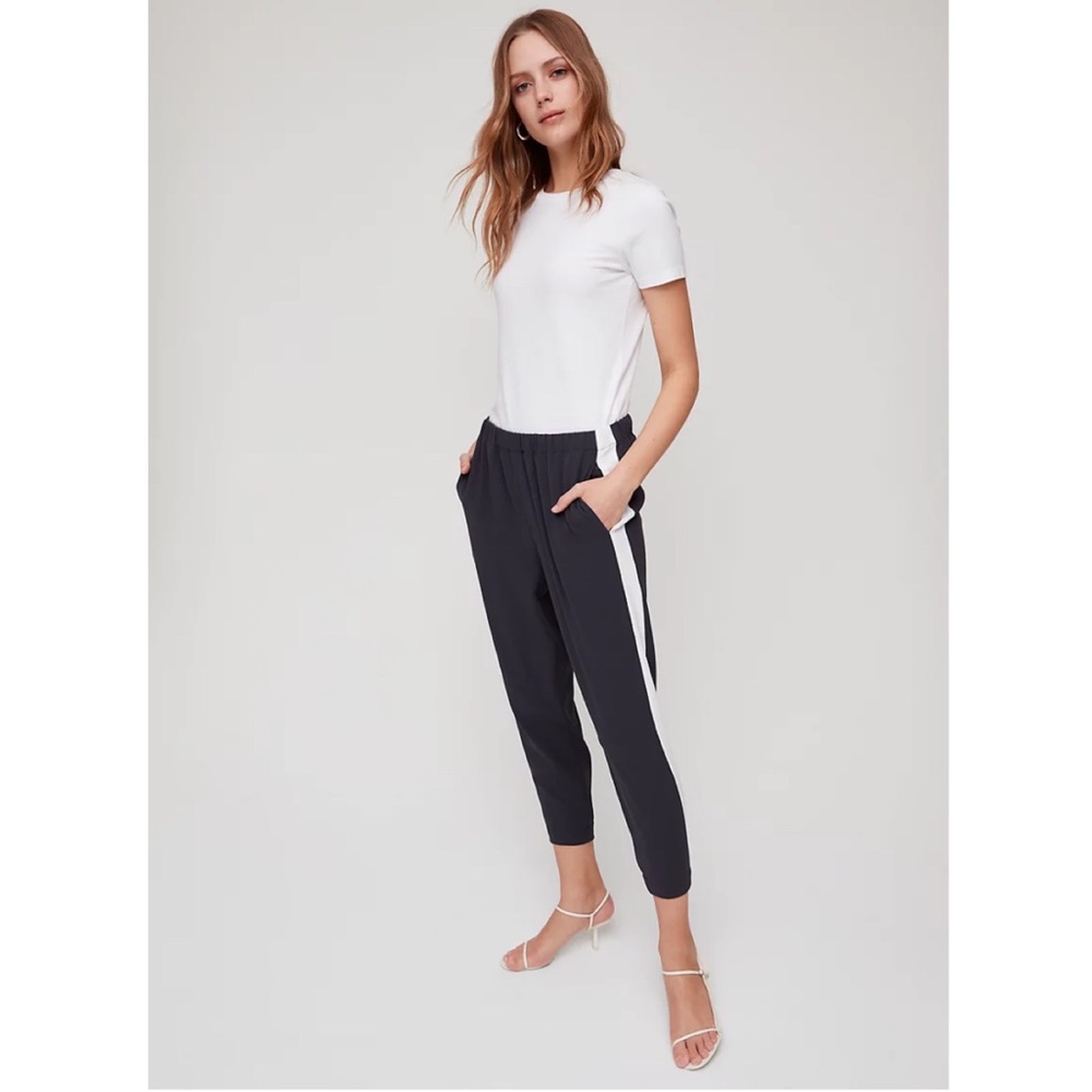 Aritzia Babaton Dexter Pant